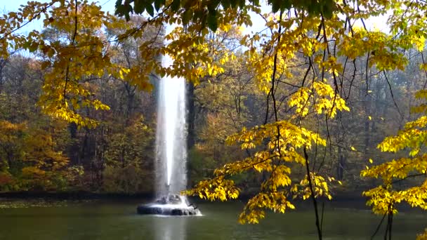 ウクライナ ウクライナ 2019年10月19日 ソフィエフスキー公園 ウクライナの湖で噴水 — ストック動画
