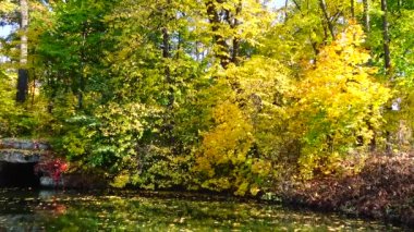 Sonbahar, sarı yapraklar, yaprak Sofya Parkı 'na düşer, Uman, Ukrayna
