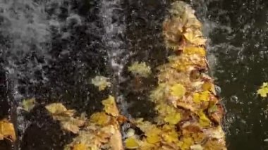 Sofievsky Park 'ta Şelale, Uman, Ukrayna