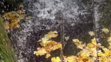 Sofievsky Park 'ta Şelale, Uman, Ukrayna