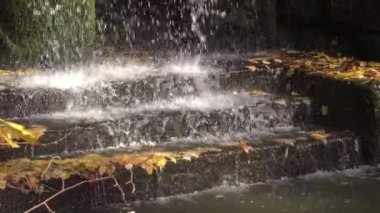 Sofievsky Park 'ta Şelale, Uman, Ukrayna