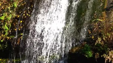 Sofievsky Park 'ta Şelale, Uman, Ukrayna