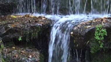 Sofievsky Park 'ta Şelale, Uman, Ukrayna