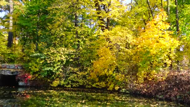 Otoño Hojas Amarillas Caída Hojas Parque Sophia Uman Ucrania — Vídeo de stock