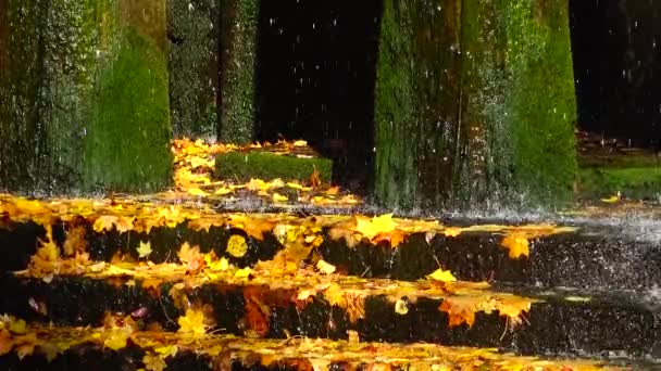 Outono Água Uma Cachoeira Cai Folhas Amarelas Sofievsky Park Uman — Vídeo de Stock