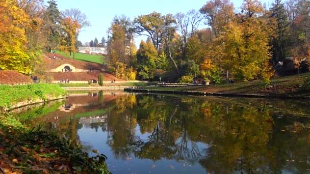 秋に黄色の葉を持つ木々の湖の水の反射 — ストック動画