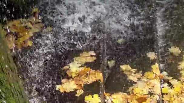 Waterval Sofievsky Park Uman Oekraïne — Stockvideo