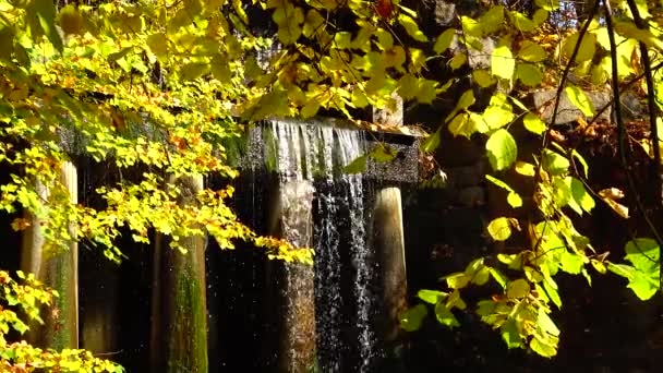 Wasserfall Sofievsky Park Uman Ukraine — Stockvideo