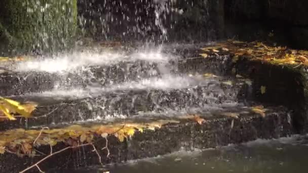 Cascata Nel Parco Sofievsky Uman Ucraina — Video Stock