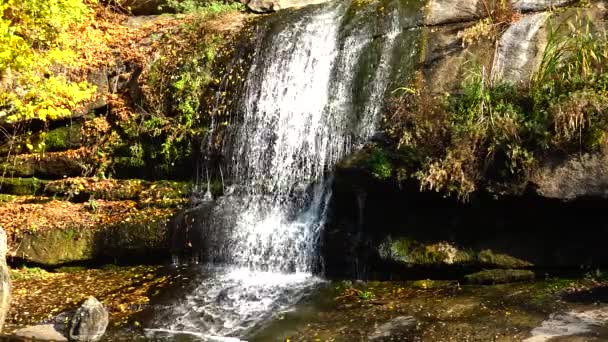 Sofievsky Park Şelale Uman Ukrayna — Stok video