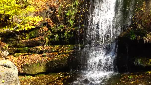 Sofievsky Park Şelale Uman Ukrayna — Stok video