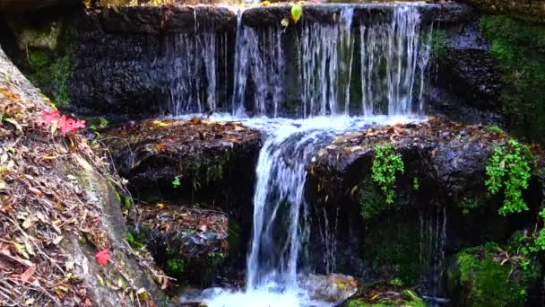 Sofievsky Park Şelale Uman Ukrayna — Stok video