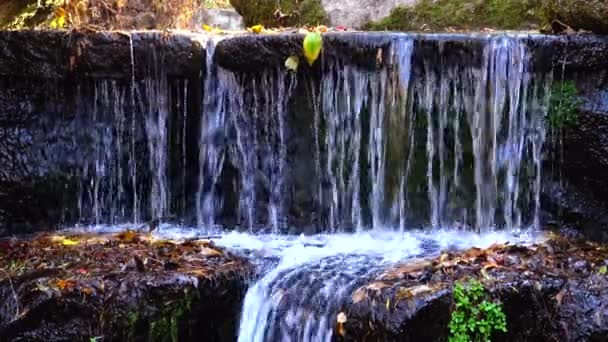 Cachoeira Sofievsky Park Uman Ucrânia — Vídeo de Stock