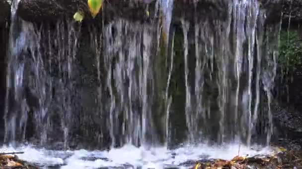 Водоспад Софієвському Парку Уман Україна — стокове відео