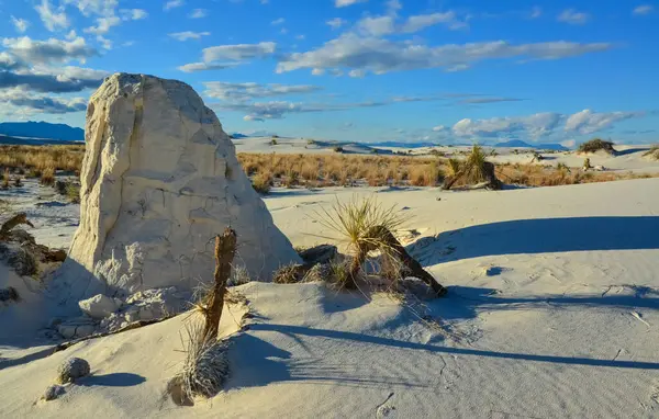 Wüstenlandschaft Aus Gipsdünen Pflanzenwurzeln Sand White Sands National Monument New — Stockfoto
