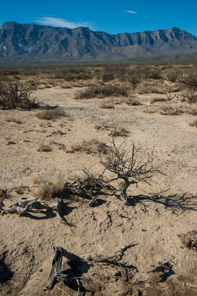 New Mexico desert landscape, gypsum crystals around a dried Lucero Lake in a valley near mountains in New Mexico, USA