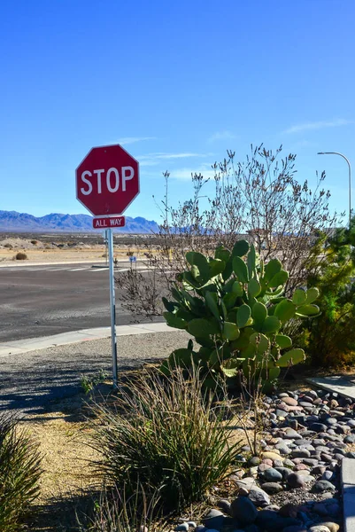 Yol Tabelası Opuntia Kaktüsü New Mexico Abd Küçük Bir Kasabada — Stok fotoğraf