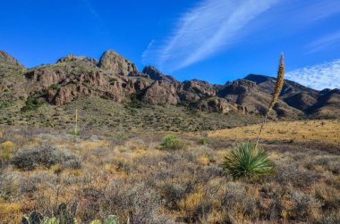 New Mexico, ABD 'deki 
