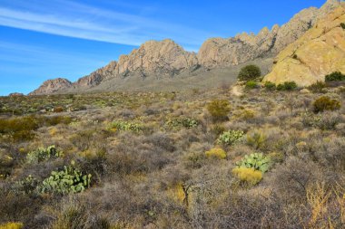 New Mexico, ABD 'deki 