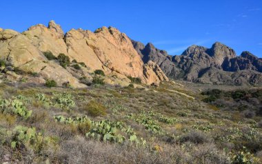 New Mexico, ABD 'deki 