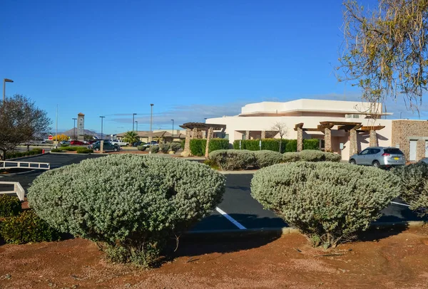 Usa New Mexico November 2019 Tájtervezés Egzotikus Növényekkel Fákkal Egy — Stock Fotó