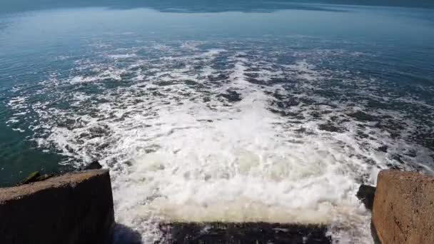汚れた水は 自然貯水池にマージされますHadizheybesky河口 ウクライナ — ストック動画