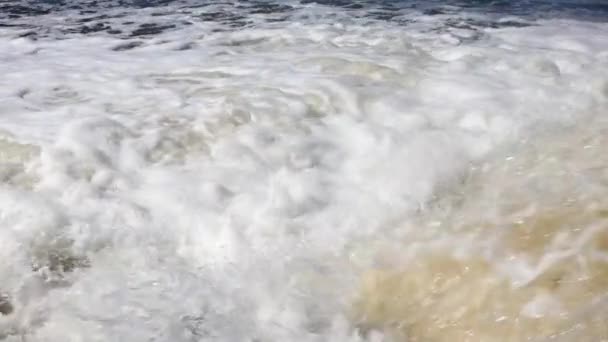 Écologie Nature Eau Sale Fond Dans Réservoir Naturel — Video