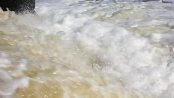 自然生态学 脏水汇入天然水库 — 图库视频影像