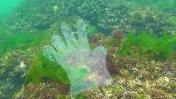 Пластиковый Мусор Море Убийца Животных Воде Пластиковая Перчатка Смертельная Ловушка — стоковое видео