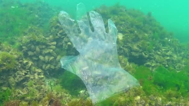 Plastic Trash Sea Animal Killer Water Plastic Glove Deadly Trap — Stock Video