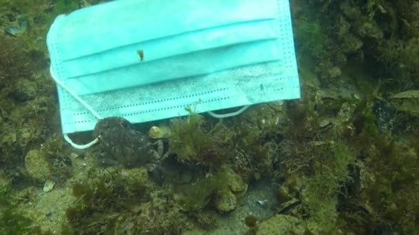 Crabe Empêtré Dans Masque Médical Masque Usagé Jeté Mer Pollution — Video