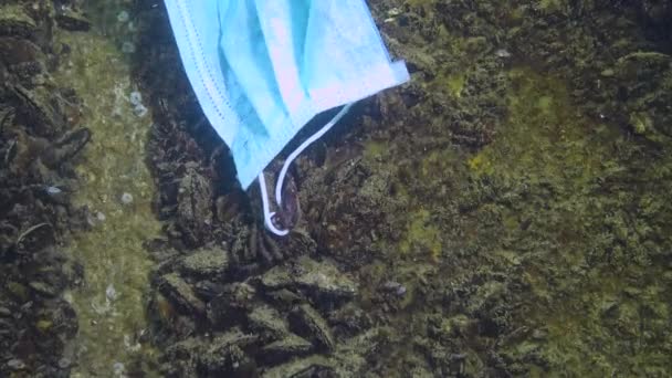 Krab Verstrikt Een Medisch Masker Gebruikt Masker Gegooid Zee Vervuiling — Stockvideo
