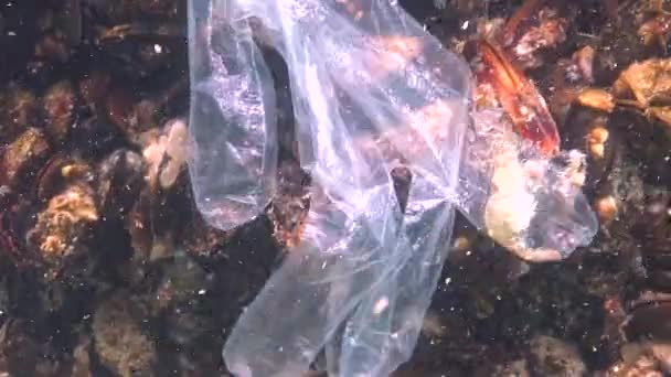 Пластиковый Мусор Море Убийца Животных Воде Креветки Попали Смертельную Ловушку — стоковое видео