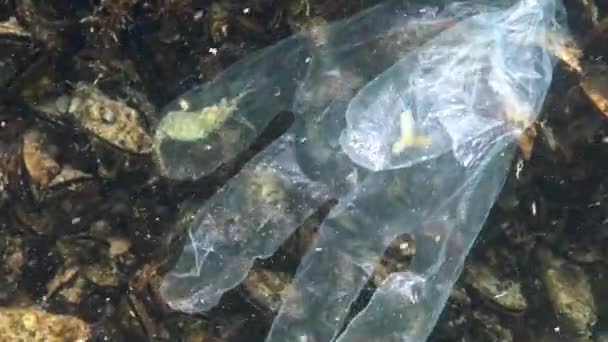 Basura Plástico Mar Asesino Animales Agua Camarones Cayeron Una Trampa — Vídeo de stock