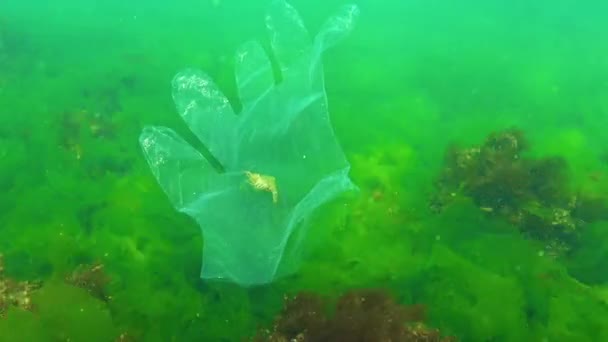 Basura Plástico Mar Asesino Animales Agua Camarones Cayeron Una Trampa — Vídeo de stock