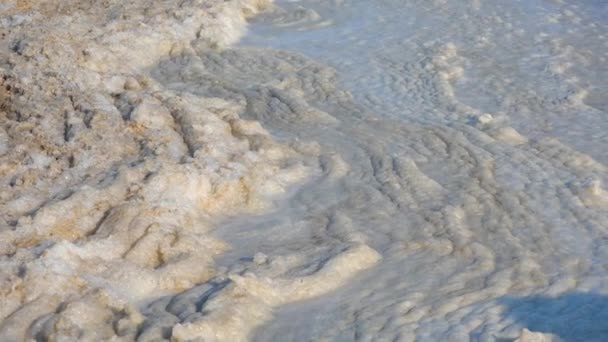 Mousse sale sur l'eau, eutrophisation de l'estuaire. Enjeux environnementaux dans l'eau, estuaires de Tuzlovsky, mer Noire