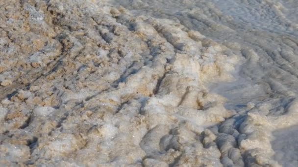 Dirty Foam Water Eutrophication Estuary Environmental Issues Water Tuzlovsky Estuaries — Stock Video