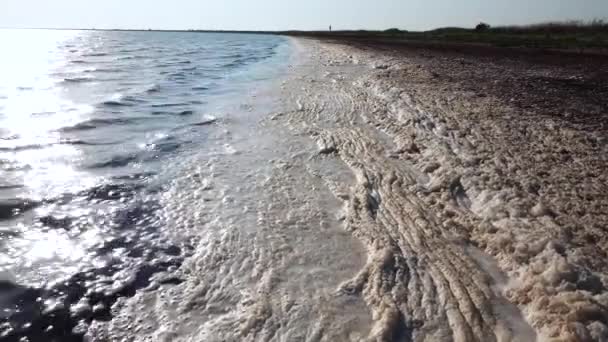 Špinavá Pěna Vodě Eutrofizace Ústí Řeky Environmentální Problémy Vodě Tuzlovské — Stock video