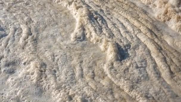 Espuma Suja Água Eutrofização Estuário Questões Ambientais Água Estuários Tuzlovsky — Vídeo de Stock