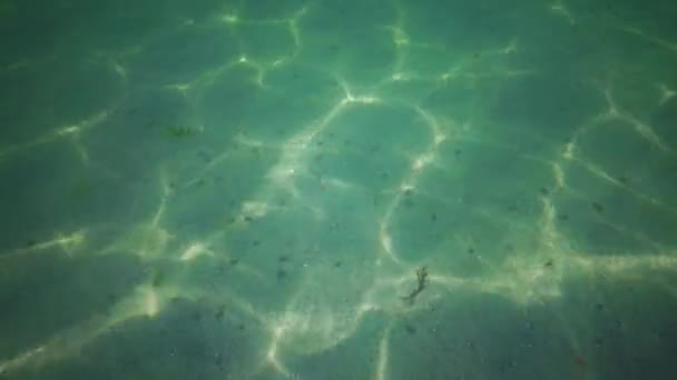 Eblouissement du soleil sur un fond sablonneux dans la mer Noire, Ukraine
