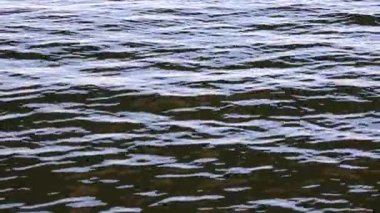 Su dalgaları ve ışık parlaklığı yüzeyden yansıtılır, bulanık arkaplan