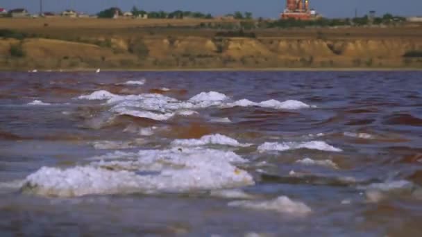 Estero Kuyalnik Mar Negro Agua Rosas Estuario Agua Salada Artemia — Vídeo de stock