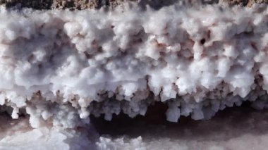 Kuyalnik haliçleri, Karadeniz. Tuz kristalleri tuz gölünün kıyısındaki taşları kaplar.