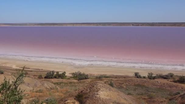 库亚尼克河口 河口的玫瑰水 来自Artemia和Dunaliella的盐水 — 图库视频影像