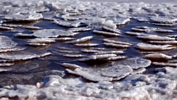 Εκβολή Kuyalnik Μαύρη Θάλασσα Κρύσταλλοι Αλατιού Καλύπτουν Πέτρες Στην Ακτή — Αρχείο Βίντεο