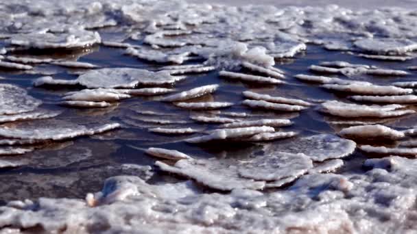 Estuaire Kuyalnik Mer Noire Les Cristaux Sel Recouvrent Les Pierres — Video