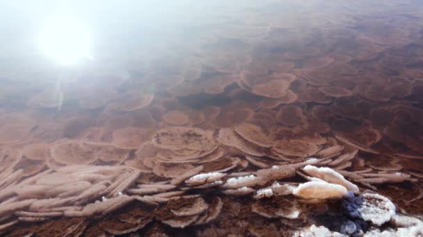 Εκβολή Kuyalnik Μαύρη Θάλασσα Επιτραπέζιο Αλάτι Μορφή Στρογγυλών Τηγανίτες Στο — Αρχείο Βίντεο