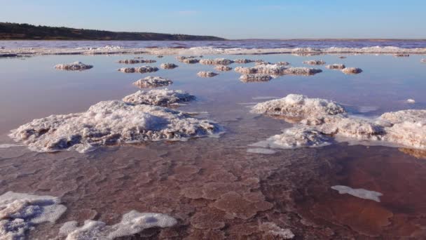 库亚尼克河口 河口底部和河岸的自沉淀盐 食盐晶体 — 图库视频影像