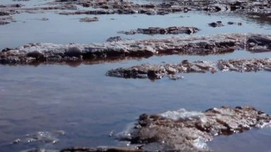 Ölmekte olan bir haliçin dibinde, göl. Kendi kendine çöken tuz, taşları beyaz kristallerle kaplar. Çevresel bir sorun. Karadeniz, Ukrayna