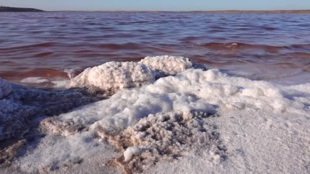 Estero Kuyalnik Mar Negro Espuma Blanca Cristales Sal Mesa Cubren — Vídeo de stock